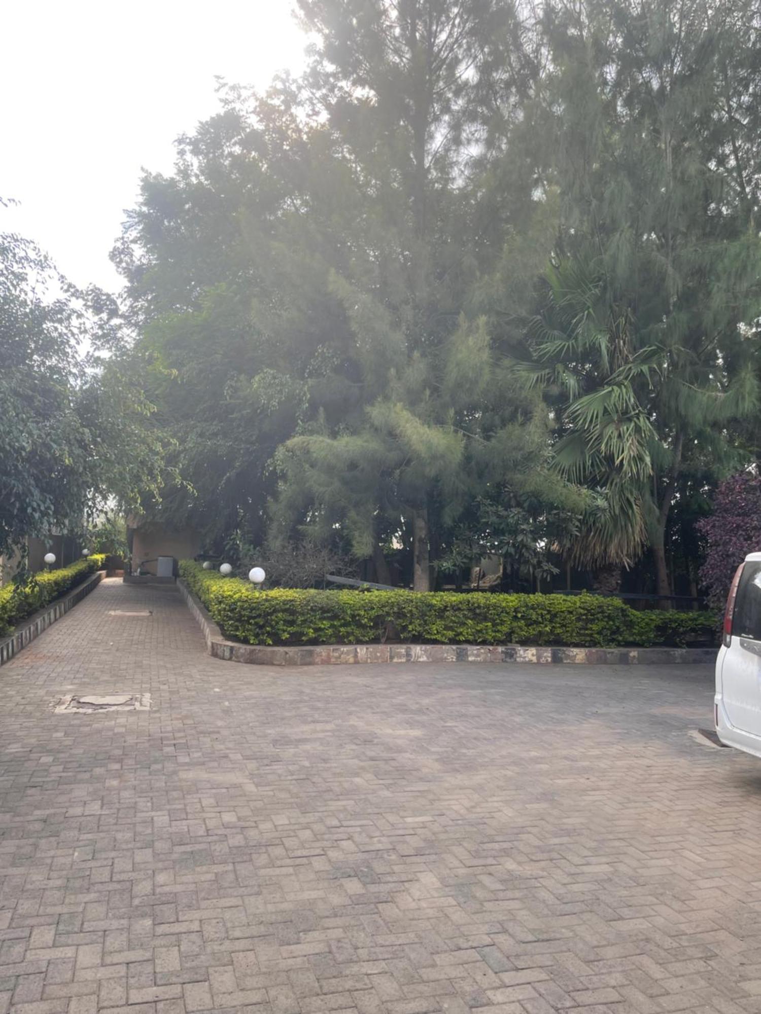 Palm Nest - Near Jkia Hotel Syokimau Exterior photo